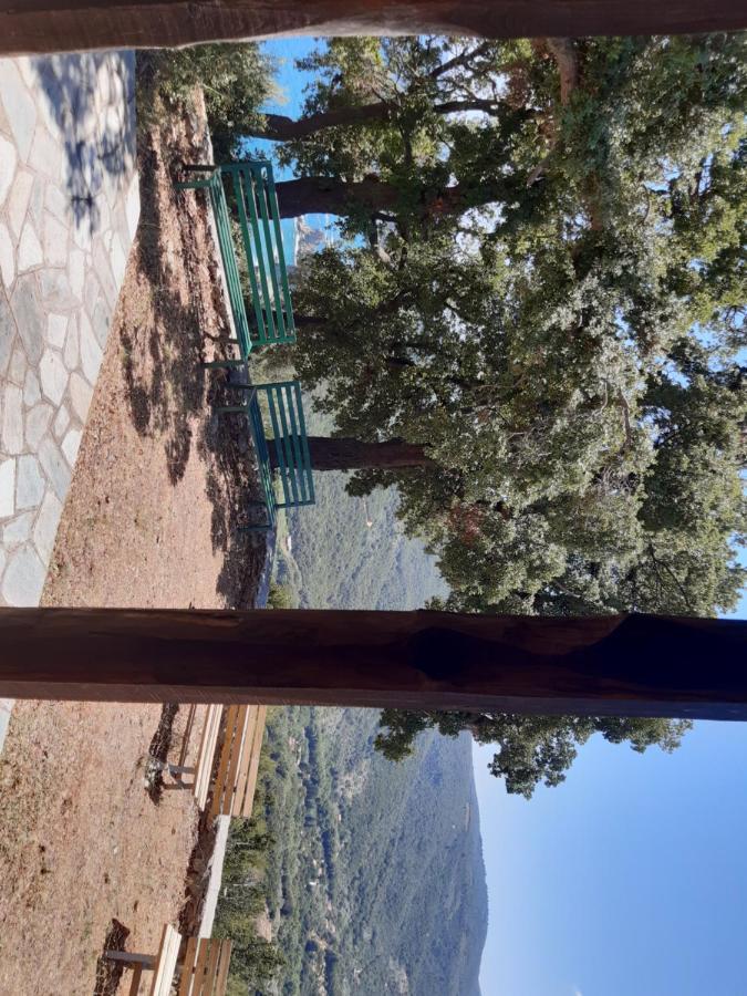Kouros Villa! Paltsi Pilion Exterior photo