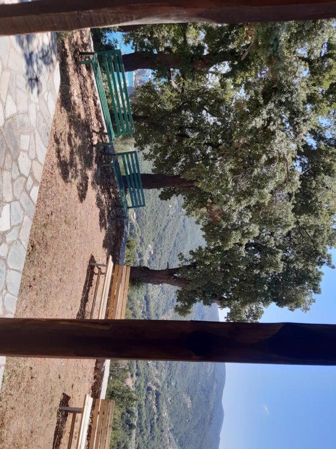 Kouros Villa! Paltsi Pilion Exterior photo